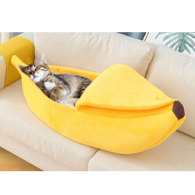 Banana Cat - Cama de gato